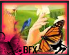 BFX 2-Sided Butterfly