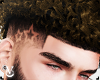 CV~Curly Hawk Blondish
