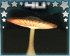 Scalable Golden Mushroom