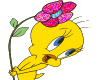 Tweety With A Flower