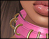 24 Collar Pink