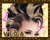 v | BDBK Mohawk