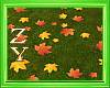 ZY: Fall Autumn Leaf