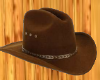 Cowboy hat room addon