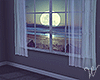 Moonbeams Curtains