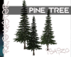 [S4] Pine Trees