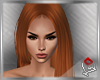 [LD]Telah Ginger