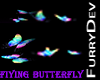 FLYING BUTTERFLY