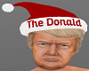 H/Trump Santa Hat