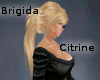 Brigida - Citrine