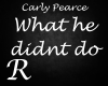 What he didnt do - CP