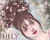 flower girl dchoco
