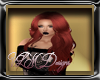 [LW] Zahra Ginger