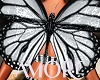 Amore Butterfly Wings