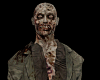 A.E! Zombie Costume