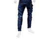 blue jea ns fl