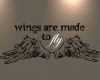 Wings are made to fly