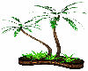 DD Palm Trees w/pose