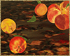 autumn apples on floor