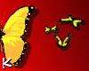 K✝Butterflies-Yellow