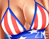 July 4th Set USA V3