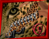 [24N] leopard