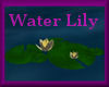 Water Lily *gold*