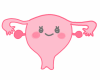 Healthy Realistic Uterus