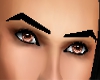 SL BROWN EYES MALE