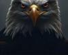 BALD EAGLE BANNER