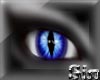 Dark Blue Cat Eyes