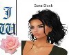 JW Sona Black Ponytail
