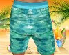 Male Beach Shorts