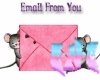 C-N-C Mice Mail