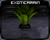 !E)Dark: Plant