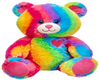 Rainbow TeddyBear