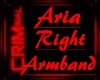|M| Aria Armband (R