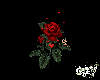 A rose, to say I luv you
