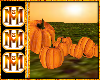 {MH3}Pumpkin Bunch