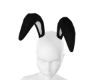 KTN Bunny Ear Black