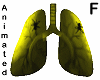 zombie lungs inside - F