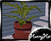Outdoor Potted Plant V1