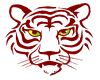 Animated Tigers Face