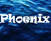 Phoenix Bild