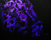 [SenSi]Purple LeopardRug