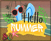 80_ Hello Summer Sign