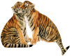 tattoo torse tigre