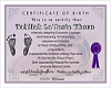 Birth Certificate 4 T.T.