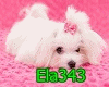 E+Animated Dog