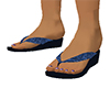 Japanese Blue Sandals